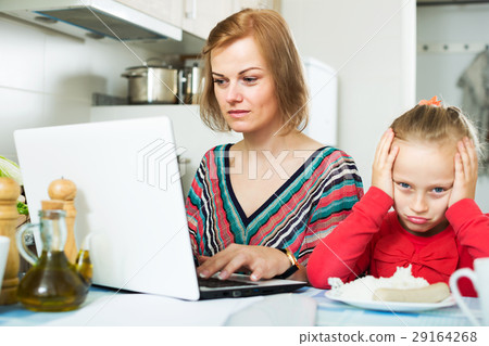 Female freelancer working with laptop 29164268