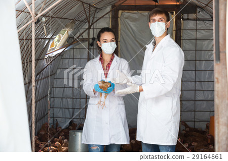 Female and male veterinarians in white coats Female and male veterinarians in white coats 29164861