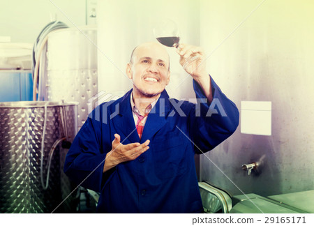 friendly mature man winery worker looking at glass of red wine 29165171