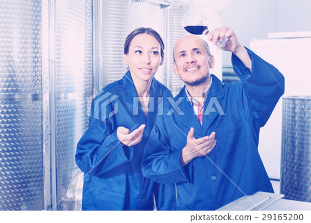 Winery workers holding glass in wine factory Winery workers holding glass in wine factory 29165200