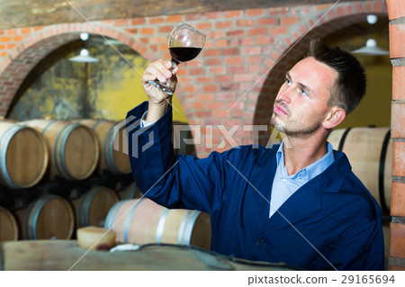 Young thoughtful winery worker holding glass of wine in cellar 29165694