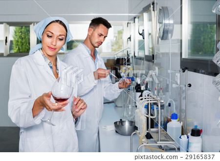 Two researchers in white coat checking wine acidity in laboratory 29165837