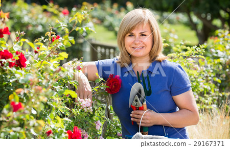 mature woman with tools in garden. 29167371