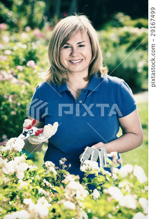Woman gardening white flowers and holding horticultural tools on sunny day Woman gardening white flowers and holding horticultural tools on sunny day 29167499