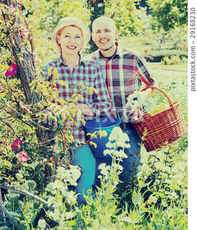 Senior couple looking after flowers in the garden 29168230