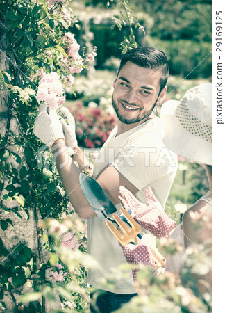 Happy couple working in garden 29169125
