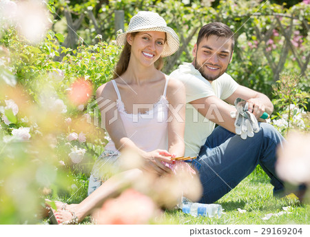 Young couple gardening together . Young couple gardening together . 29169204