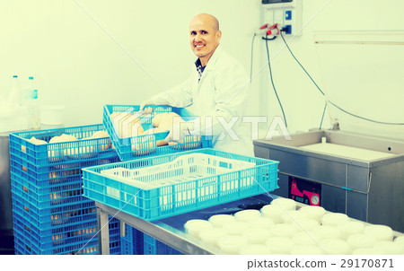 Mature man on cheese production factory . 29170871