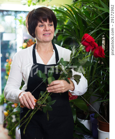 Seller showing roses 29172982