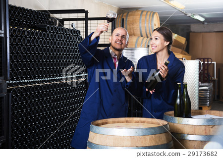 Coworkers standing in wine cellar 29173682