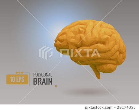 Low poly yellow brain on gray BG 29174353