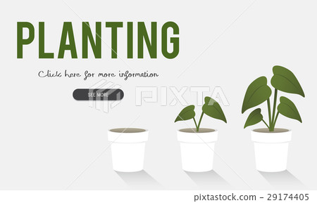 Planting Gardening Flower Farm Global 29174405