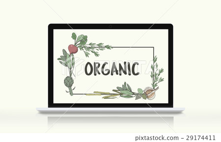 Diet Healthy Natural Recipe Wellness Food Concept Diet Healthy Natural Recipe Wellness Food Concept 29174411