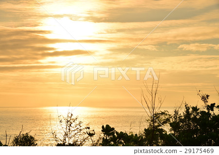 Seaside sunrise golden sea Seaside sunrise golden sea 29175469