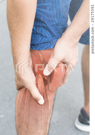 Knee muscle pain Knee muscle pain 29175591