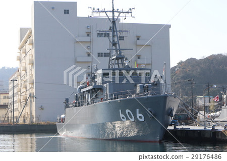Tiny 29176486
