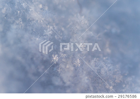 Macro photograph of snow crystal 29176586