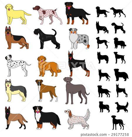Dog type with silhouette Dog type with silhouette 29177258