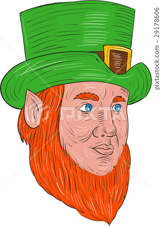 Leprechaun Head Three Quarter View Drawing Leprechaun Head Three Quarter View Drawing 29178606