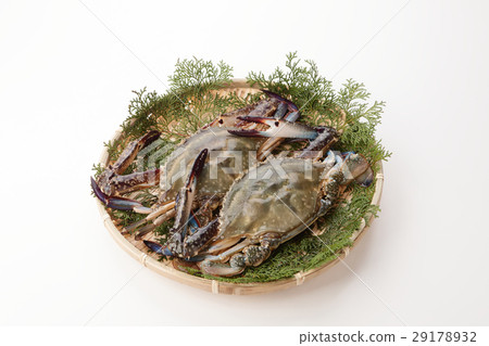 A bunch of crab crab 29178932