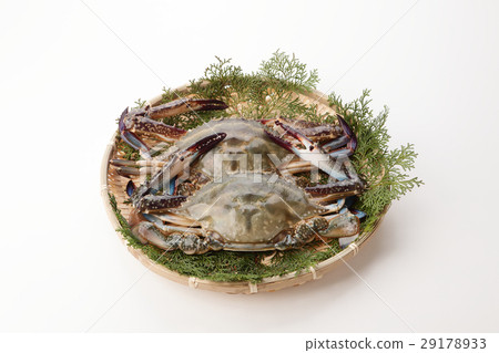 A bunch of crab crab 29178933