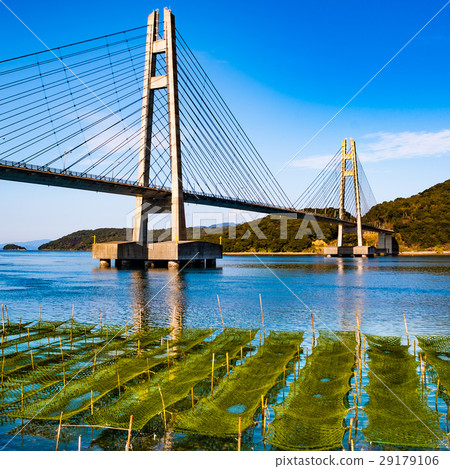 Ichang Bridge and Blue Osa 29179106