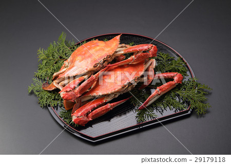 蒸小龍蝦 蒸小龍蝦 29179118