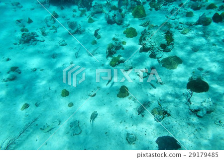 埃克蘇馬群島 埃克蘇馬群島 29179485