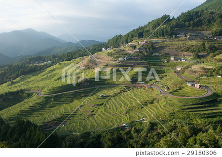熊野市·Maruyama Senjita 熊野市·Maruyama Senjita 29180306