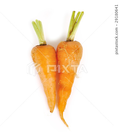 carrots close up isolated on white background carrots close up isolated on white background 29180641