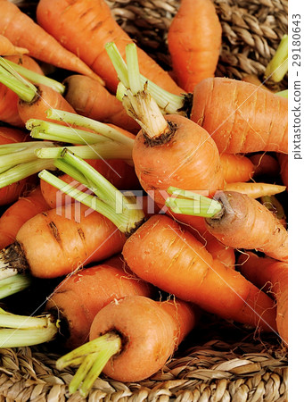 carrots close up on wood background carrots close up on wood background 29180643