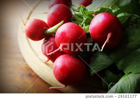 fresh radishes on cutting board fresh radishes on cutting board 29181177