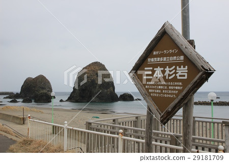 Sensonosugi Rock · Setana Town Setana District Sensonosugi Rock · Setana Town Setana District 29181709
