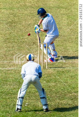 Cricket Batsman Game Action 29181712