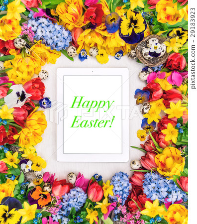 Easter background spring flowers eggs 29183923