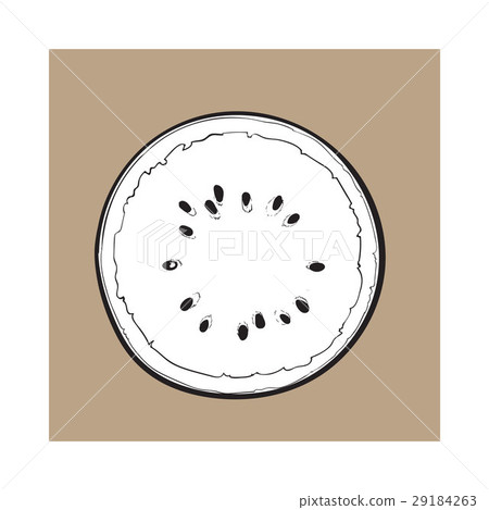 Half of ripe watermelon, top view sketch style 29184263