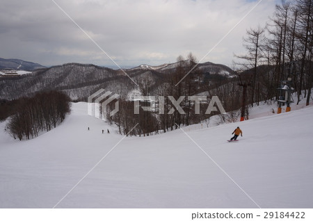 札幌Bankei滑雪場 29184422
