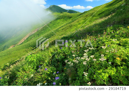 Iidosei山·Kita-kutake和高山植物 29184719