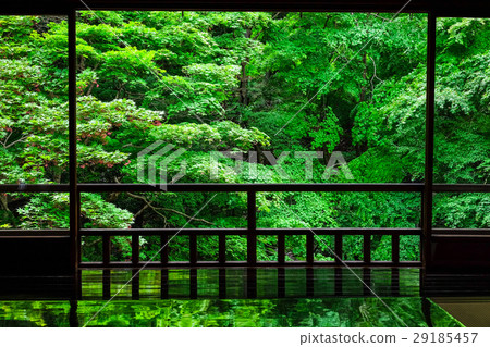 Fresh green of Rurikoin Kyoto Fresh green of Rurikoin Kyoto 29185457