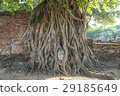 Ayutthaya Wat Mahathat佛頭 29185649