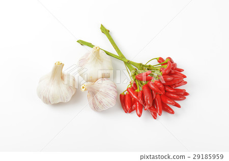 Red chili peppers and garlic Red chili peppers and garlic 29185959