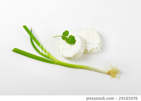 Soft white cheese and spring onion 29185976