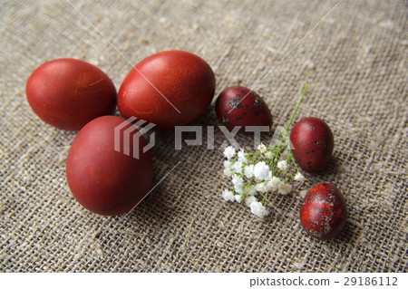 Easter eggs on a beautiful background Easter eggs on a beautiful background 29186112