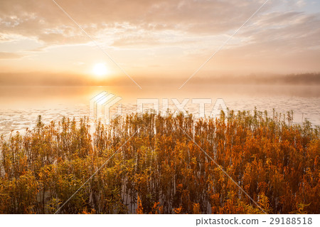 Sunrise at foggy lake 29188518