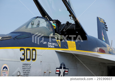 F / A - 18 E Super Hornet 29190607