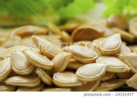 南瓜籽,種子,瓜子,かぼちゃの種、種子,メロンの種,Pumpkin seeds, seeds, 南瓜籽,種子,瓜子,かぼちゃの種、種子,メロンの種,Pumpkin seeds, seeds, 29191457