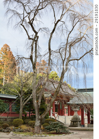 Shiogama Shrine 29191830