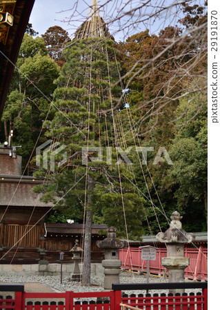 Shiogama Shrine 29191870
