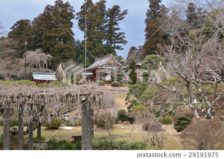 Shiogama Shrine 29191975