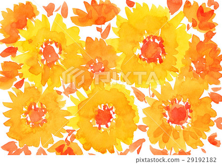 bloom, blossom, blossoms 29192182